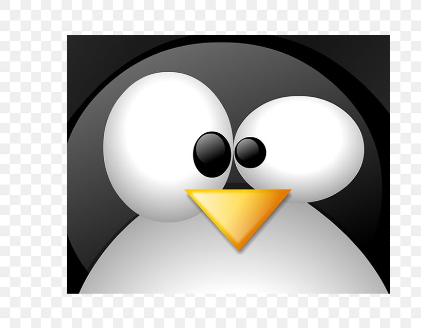 Penguin Tux Racer Desktop Wallpaper Linux, PNG, 700x640px, Penguin, Beak, Bird, Computer Software, Desktop Environment Download Free