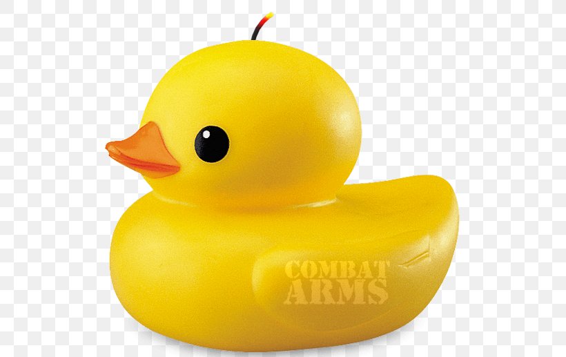 Clip Art Image Transparency Duck, PNG, 700x517px, Duck, Beak, Bird, Ducks Geese And Swans, Image Resolution Download Free