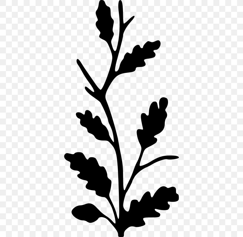 Twig Silhouette Oak Clip Art, PNG, 388x800px, Twig, Artwork, Black And White, Branch, Drawing Download Free