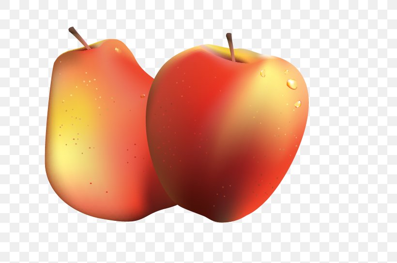 Apple Clip Art, PNG, 635x543px, Apple, Accessory Fruit, Apple Drops, Diet Food, Food Download Free