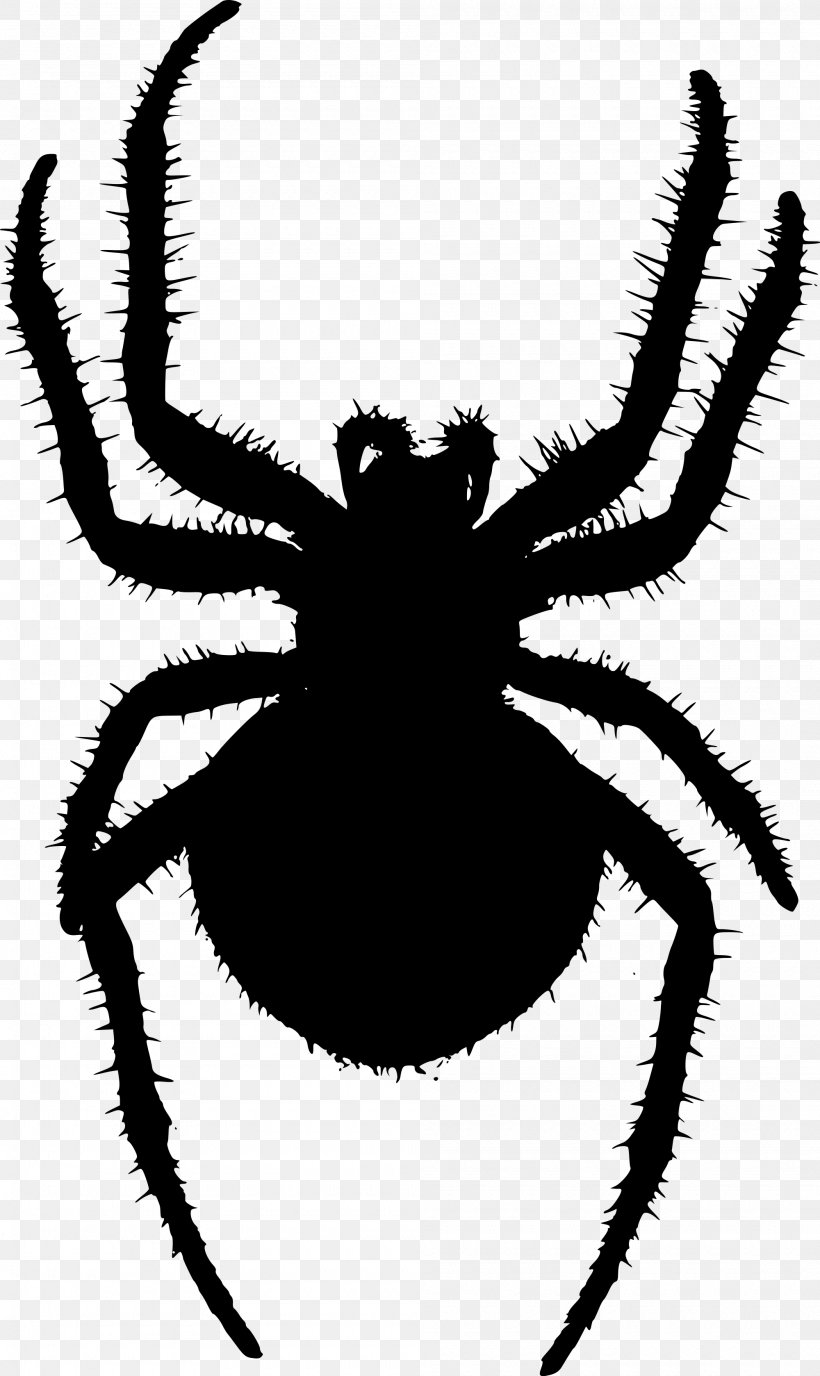Orb-weaver Spider Clip Art, PNG, 2000x3357px, Spider, Arachnid, Araneus, Arthropod, Black And White Download Free