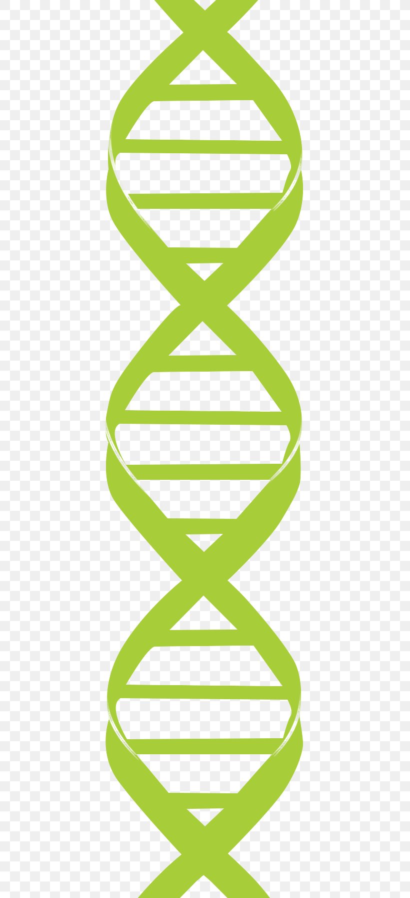Clip Art Nucleic Acid Double Helix DNA Genetics, PNG, 411x1793px, Nucleic Acid Double Helix, Area, Cell, Chromosome, Dna Download Free