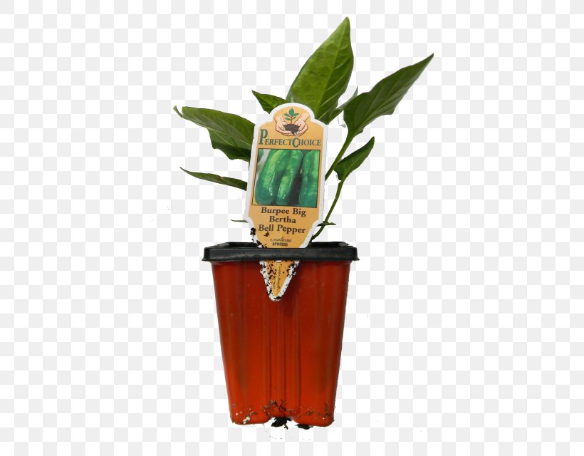 Flowerpot Plant, PNG, 398x640px, Flowerpot, Plant Download Free