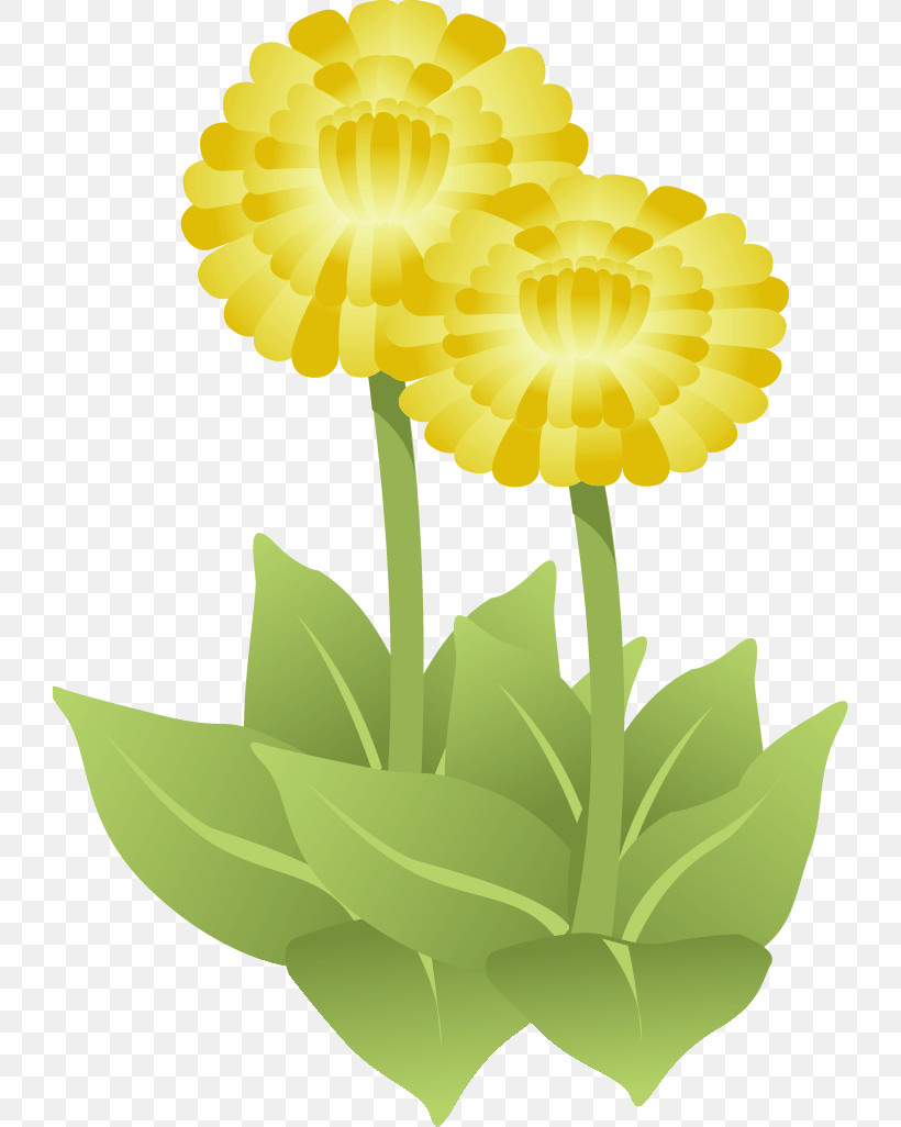 Gerbera Daisy Marguerite, PNG, 724x1026px, Gerbera, Common Daisy, Cut Flowers, Dahlia, Daisy Download Free