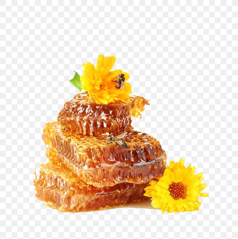 Honey Bee Honey Bee Diabetes Mellitus, PNG, 658x824px, Bee, Beehive, Breakfast Cereal, Compote, Flower Download Free