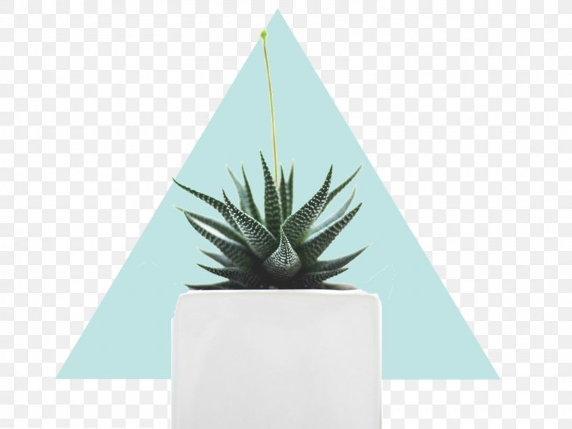 Journal Agave Laptop Diary INAV DBX MSCI AC WORLD SF, PNG, 1600x1200px, 2018, Journal, Agave, Aloe, Aloe Vera Download Free