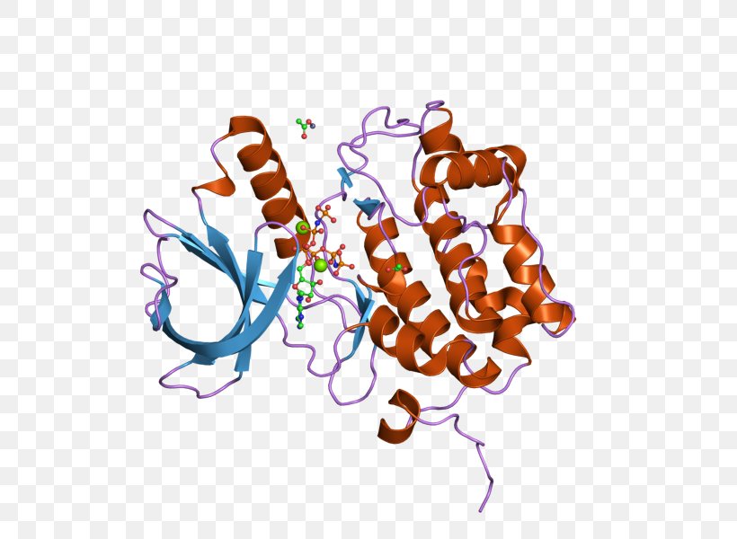 PLK1 Polo-like Kinase Protein Phosphopeptide, PNG, 800x600px, Watercolor, Cartoon, Flower, Frame, Heart Download Free