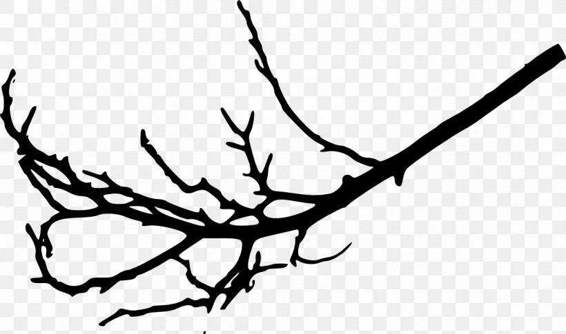 Branch Tree Leaf Twig Woody Plant, PNG, 1175x695px, Branch, Antler, Artwork, Beak, Black And White Download Free
