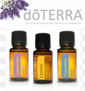 Boswellia Sacra Frankincense Essential Oil DoTerra Myrrh, PNG ...