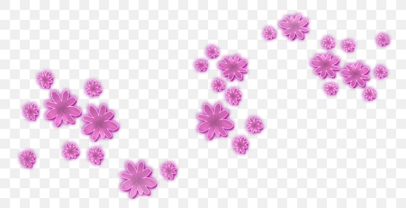 Flower Clip Art, PNG, 800x420px, Flower, Blossom, Body Jewelry, Digital Image, Document Download Free