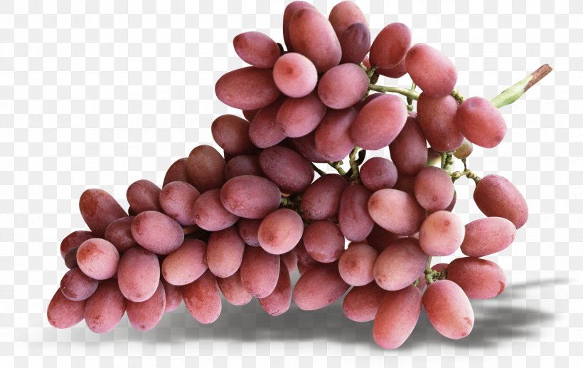 Grape, PNG, 1669x1054px, Grape, Auglis, Creative Grape, Food, Fruit Download Free