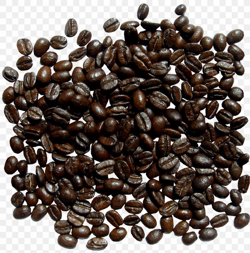 Jamaican Blue Mountain Coffee Coffee Bean Cereal, PNG, 1000x1011px, Coffee, Bean, Cereal, Coffee Bean, Commodity Download Free