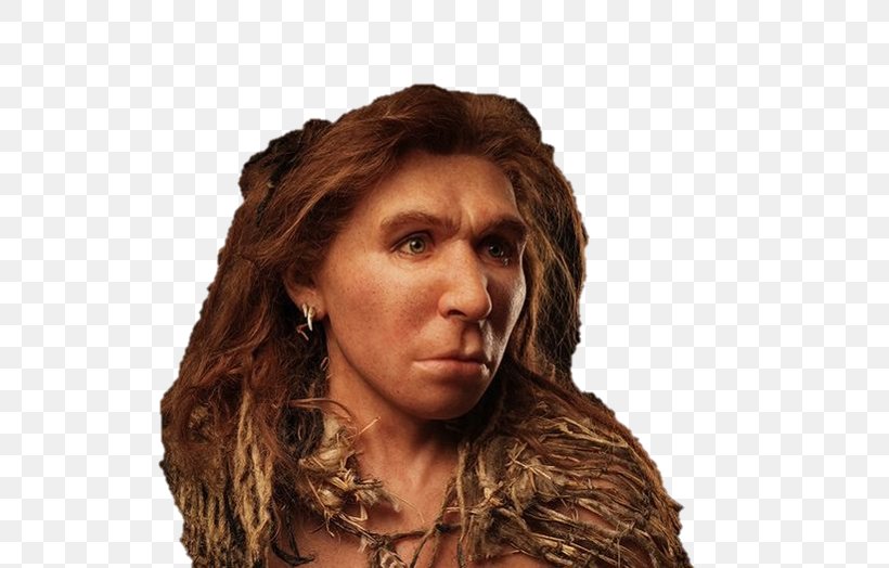 Neandertal Homo Sapiens Paleolithic Reconstruction Era Human Evolution, PNG, 563x524px, Neandertal, Ancient Dna, Brown Hair, Denisovan, Europeans Download Free