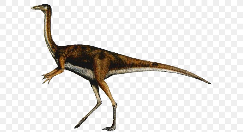 Velociraptor Gallimimus Carnivores: Dinosaur Hunter Tyrannosaurus Ornithomimus, PNG, 611x448px, Velociraptor, Carnivore, Carnivores Dinosaur Hunter, Coelurus, Cretaceous Download Free
