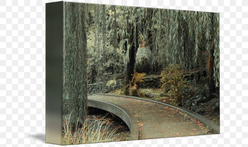 Woodland Garden /m/083vt Printing Canvas, PNG, 650x489px, Woodland, Art, Biome, Canvas, Ecosystem Download Free