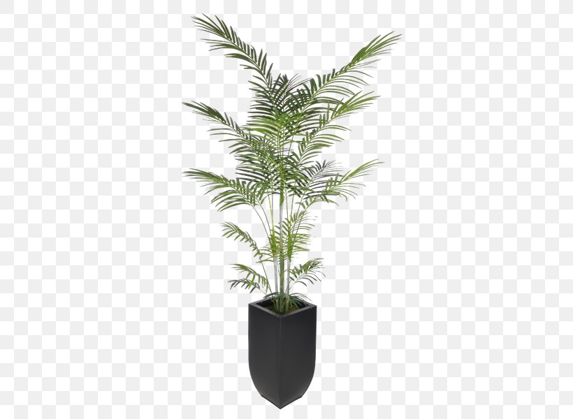Arecaceae Areca Palm Artificial Flower Dracaena Reflexa Plant, PNG, 600x600px, Arecaceae, Areca Palm, Arecales, Artificial Flower, Dracaena Download Free