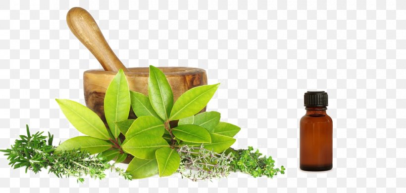 Ayurveda Herbalism Medicine Therapy, PNG, 980x468px, Ayurveda, Bottle, Cure, Disease, Glass Bottle Download Free