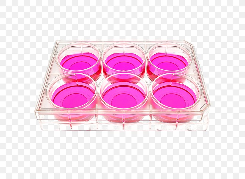 Cell Culture Tissue Culture Glass Cover Slip Plate, PNG, 600x600px, Cell Culture, Art, Cell, Cosmetics, Cover Slip Download Free