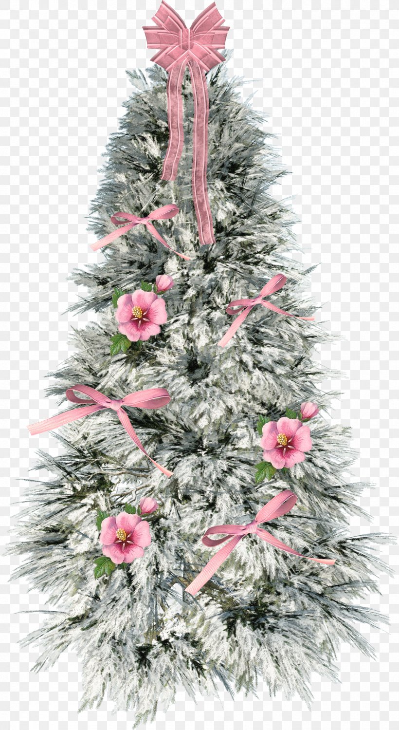 Christmas Tree Fir Santa Claus Christmas Day Christmas Decoration, PNG, 1699x3107px, Christmas Tree, American Larch, Balsam Fir, Branch, Canadian Fir Download Free