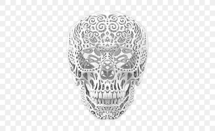 Skull Silver Jaw White Oval, PNG, 500x500px, Skull, Black And White, Bone, Head, Jaw Download Free