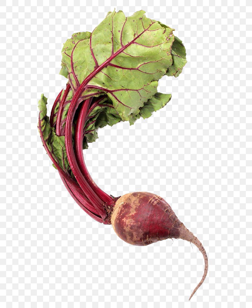 Chard Beetroot Vegetable Download, PNG, 666x1000px, Beetroot, Beet, Chard, Common Beet, Food Download Free
