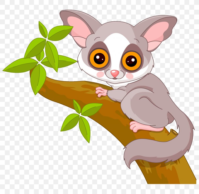 Clip Art Vector Graphics Openclipart Lemurs Illustration, PNG, 800x800px, Lemurs, Carnivoran, Cartoon, Dog Like Mammal, Drawing Download Free