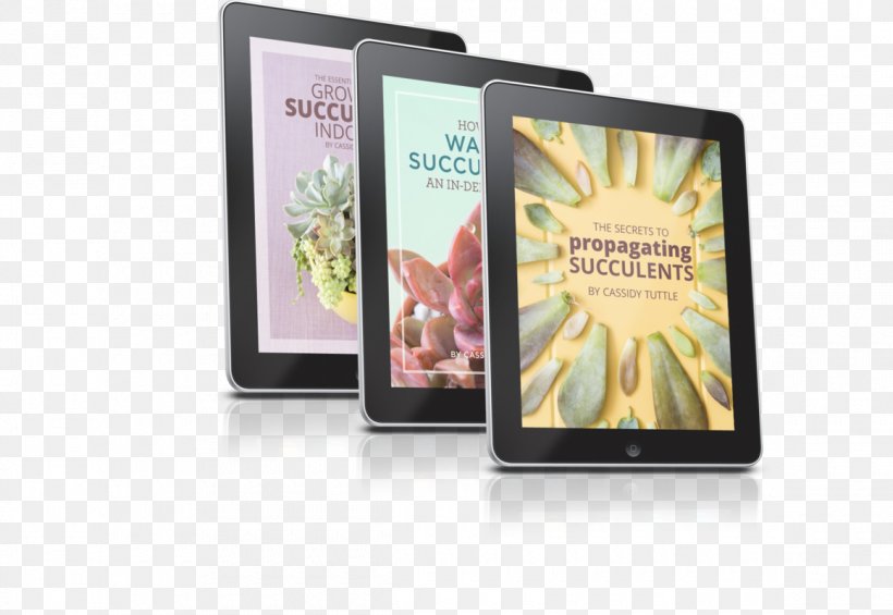 E-book Succulent Plant Tutorial Re:Re:, PNG, 1160x800px, Book, Advertising, Art, Craft, Do It Yourself Download Free