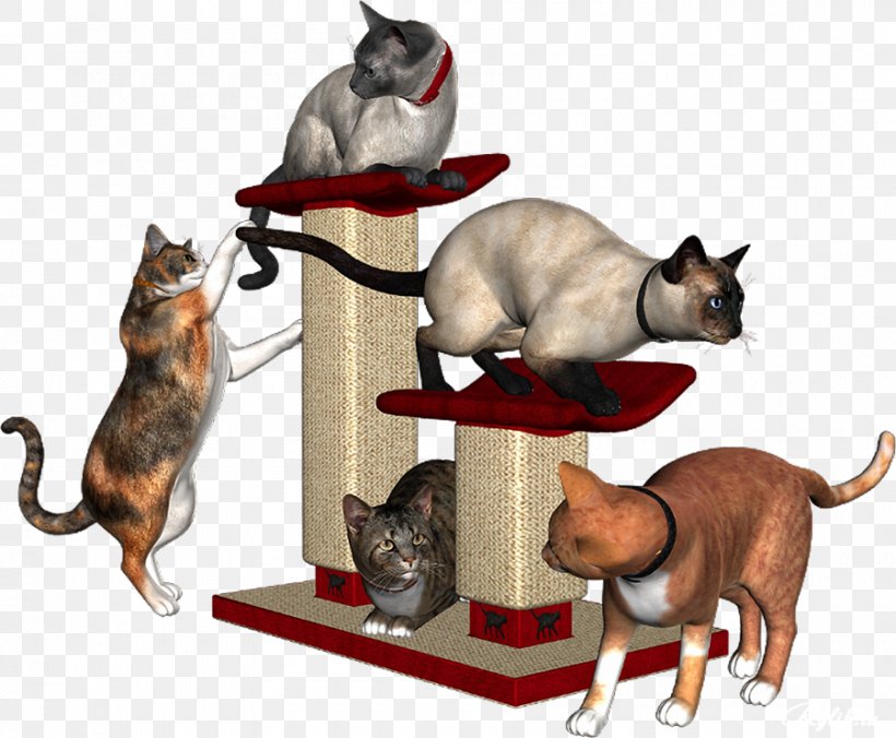 Kitten Whiskers Dog Breed Cat, PNG, 900x743px, Kitten, Breed, Carnivoran, Cat, Cat Like Mammal Download Free