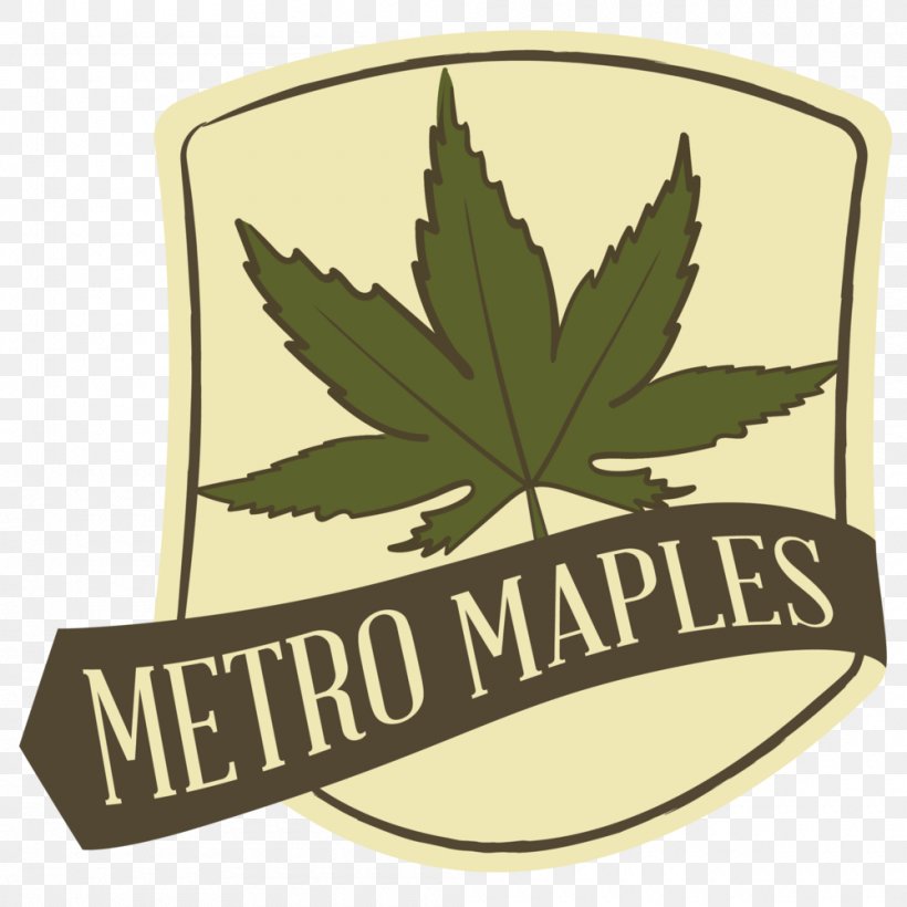 Metro Maples Japanese Maple Leaf Tree Acer Truncatum, PNG, 1000x1000px, Japanese Maple, Acer Truncatum, Autumn, Autumn Leaf Color, Brand Download Free
