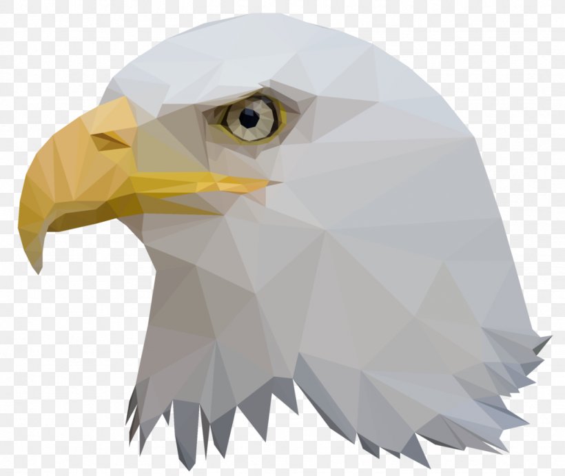 Bald Eagle Bird Low Poly Animal, PNG, 1024x863px, Bald Eagle, Animal, Art, Beak, Bird Download Free