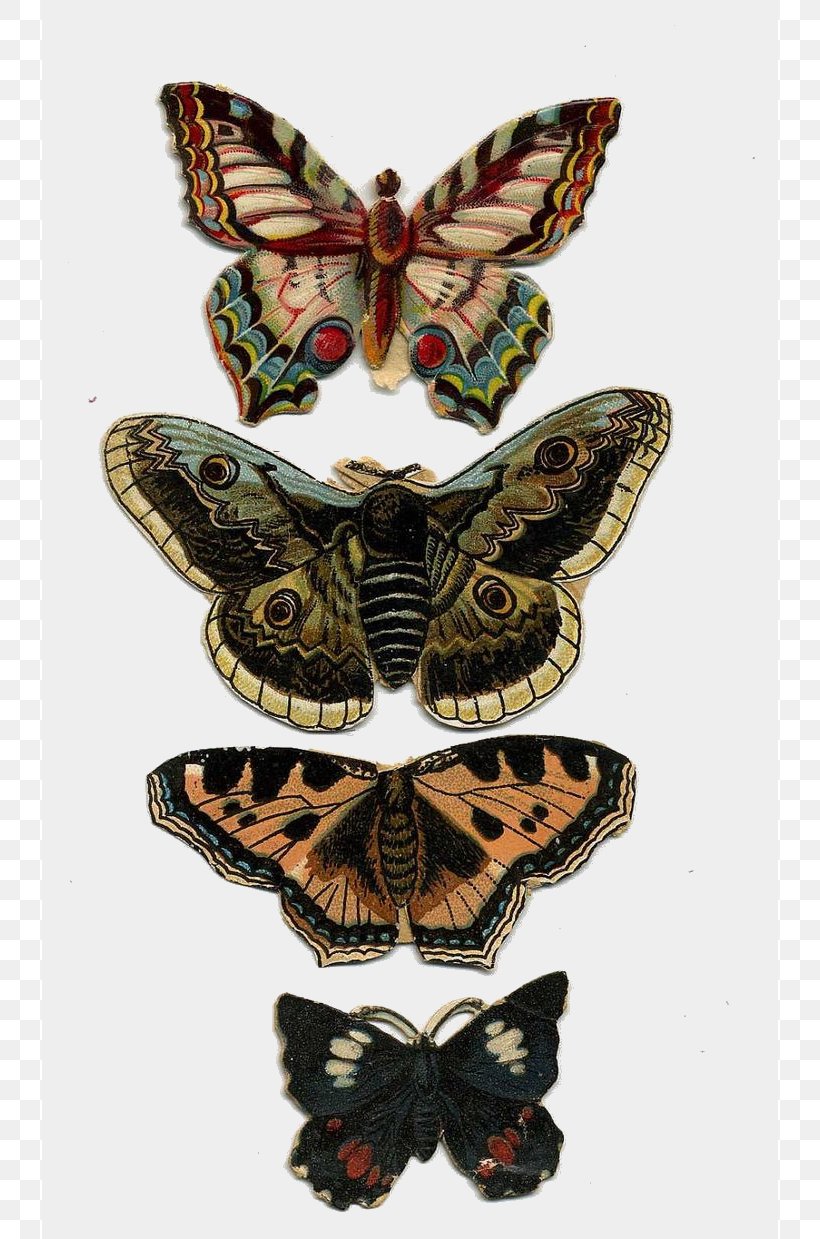 Butterfly Victorian Era Paper Insect Bokmärke, PNG, 736x1239px, Butterfly, Art, Arthropod, Brush Footed Butterfly, Butterflies And Moths Download Free