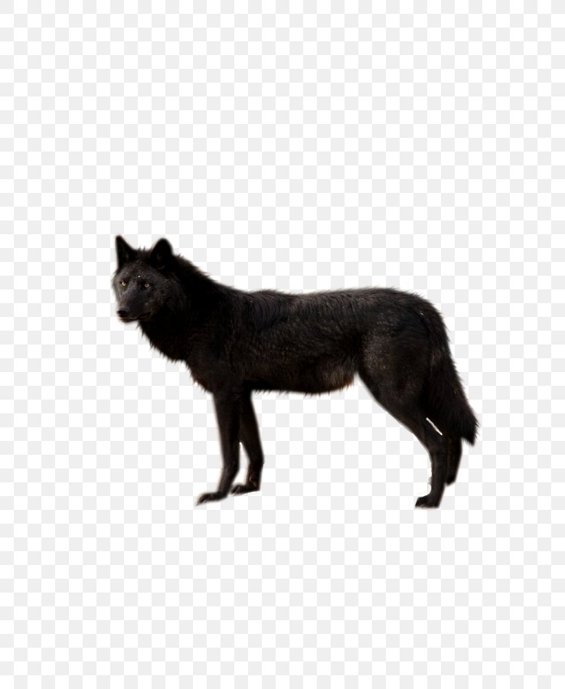 Dog Clip Art, PNG, 386x429px, Arctic Wolf, Black And White, Black Cat, Black Wolf, Canis Download Free