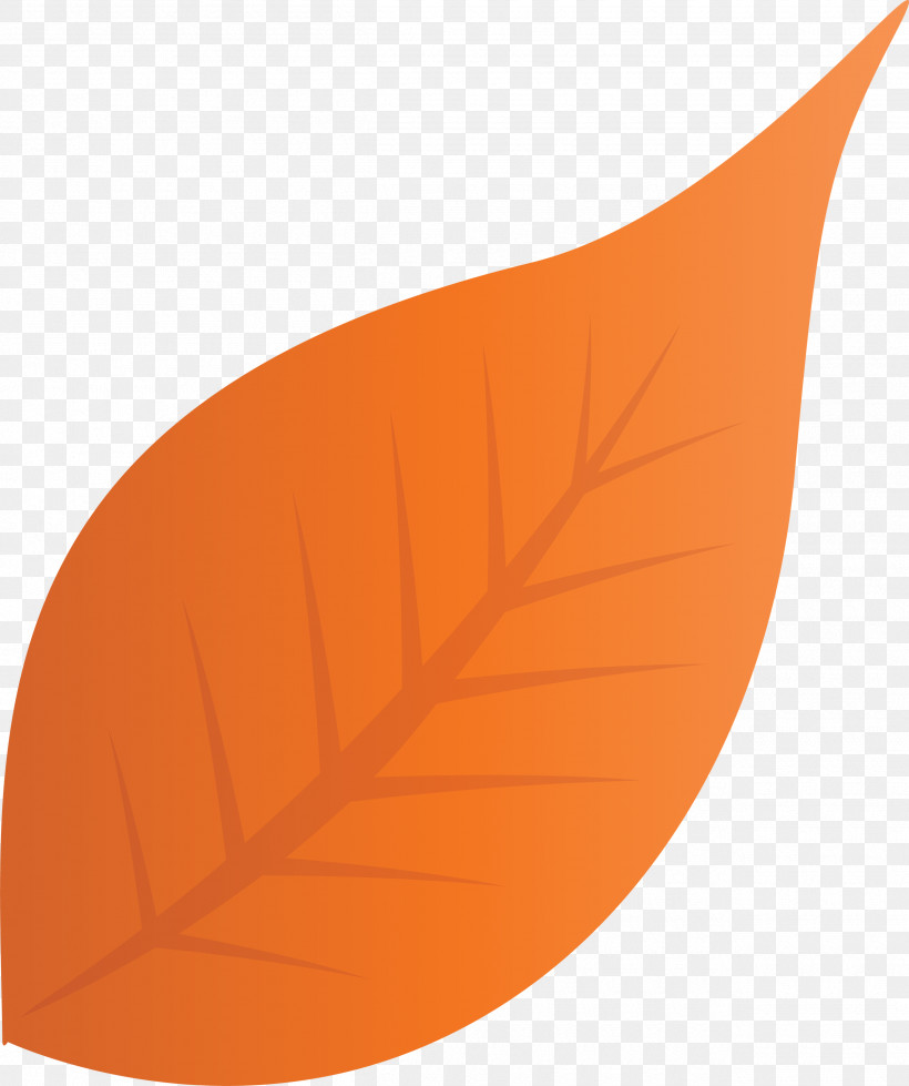 Fall Leaf Autumn Leaf, PNG, 2510x2999px, Fall Leaf, Angle, Autumn Leaf, Biology, Leaf Download Free