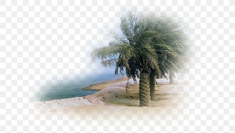 Landscape Sea Desert Beach, PNG, 662x465px, Landscape, Arecales, Beach, Coconut, Com Download Free