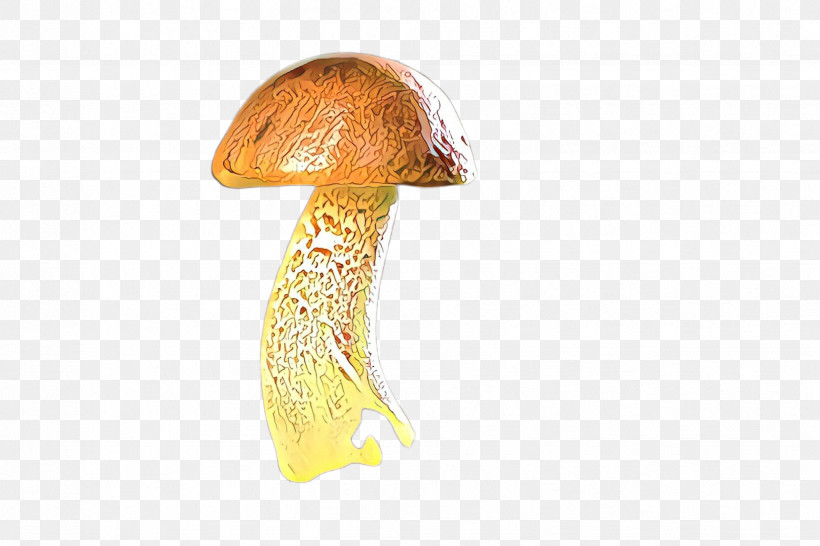 Mushroom Penny Bun Bolete Edible Mushroom Agaricus, PNG, 2448x1632px, Mushroom, Agaric, Agaricaceae, Agaricomycetes, Agaricus Download Free