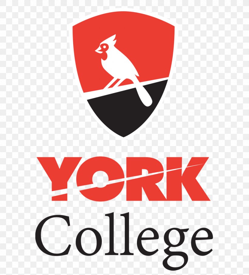 York College, City University Of New York San Antonio College Northeast Lakeview College Queen Margaret College, Wellington, PNG, 980x1081px, City University Of New York, Academic Degree, Area, Artwork, Brand Download Free