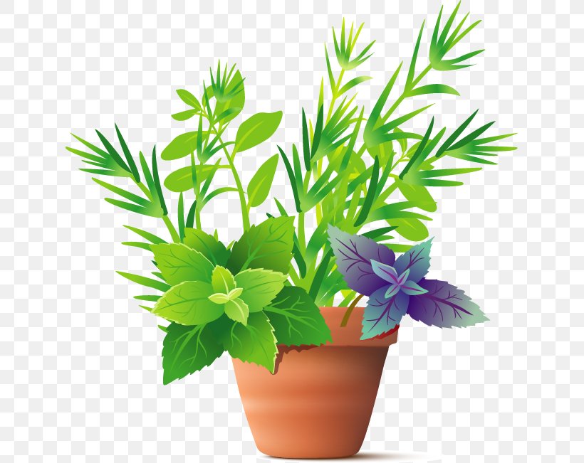 Herb Plant Spice Basil, PNG, 635x651px, Herb, Basil, Dill, Flower, Flowering Plant Download Free