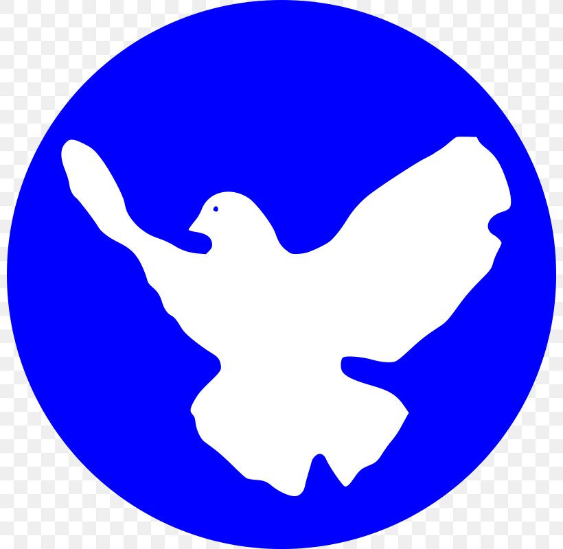Peace & Justice Center Peace Symbols Doves As Symbols Peace Movement, PNG, 800x800px, Peace Symbols, Area, Black And White, Blue, Burlington Download Free