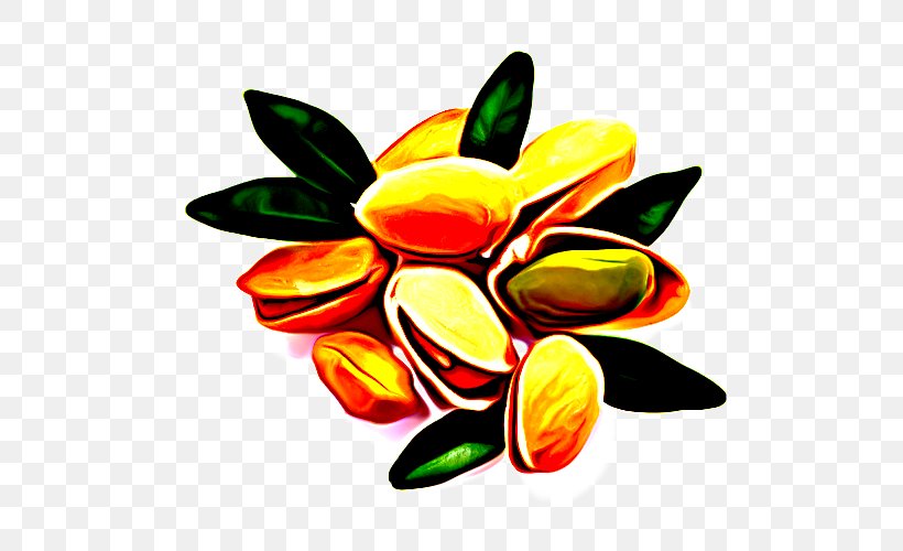 Plant Flower Clip Art, PNG, 500x500px, Plant, Flower Download Free
