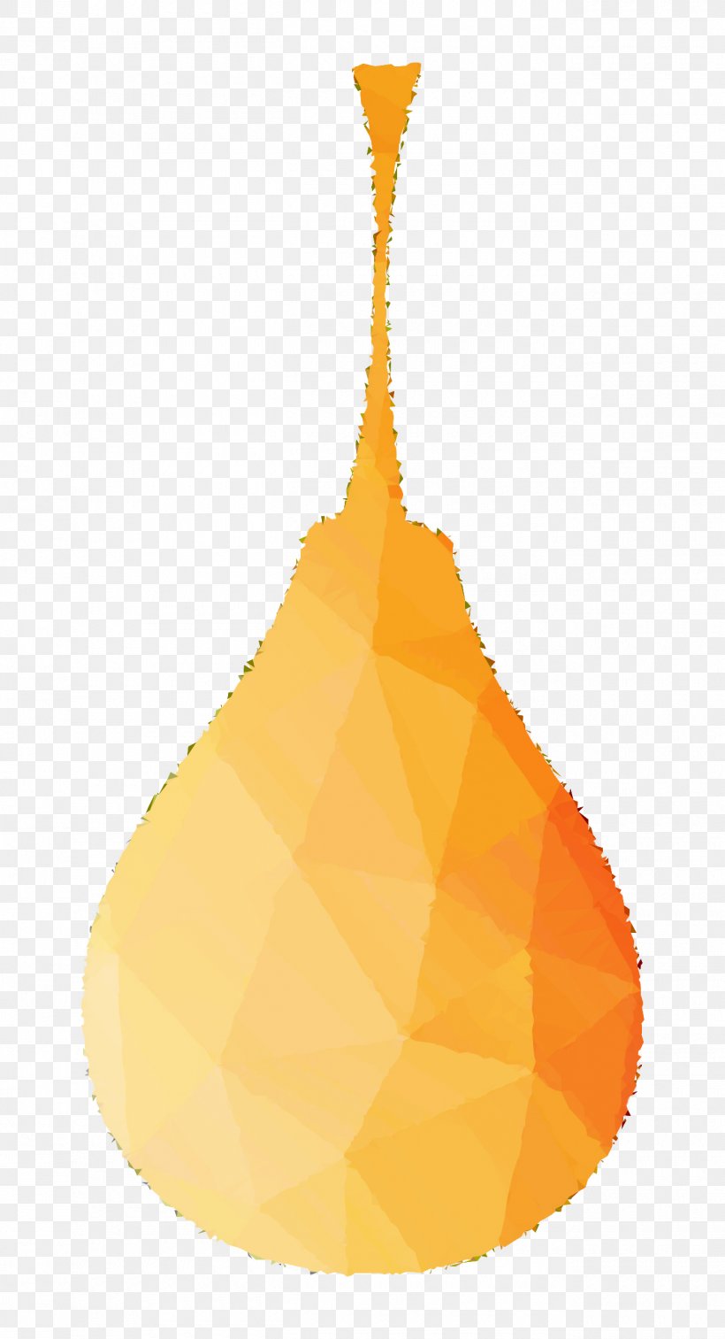 Product Design Orange S.A., PNG, 1300x2400px, Orange Sa, Orange, Pear, Tree, Yellow Download Free
