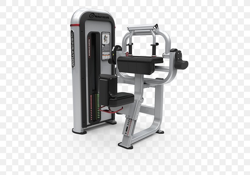 Triceps Brachii Muscle Lying Triceps Extensions Exercise Machine Strength Training Fitness Centre, PNG, 500x572px, Triceps Brachii Muscle, Biceps, Crunch, Exercise, Exercise Equipment Download Free