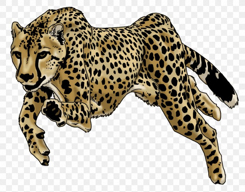 Cheetah Leopard Drawing Image Jaguar, PNG, 900x706px, Cheetah, African Leopard, Animal Figure, Big Cats, Black Panther Download Free