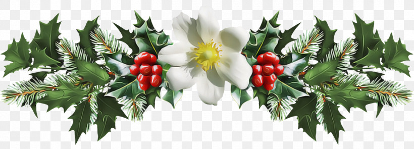 Christmas Holly Ilex Holly, PNG, 1300x468px, Christmas Holly, Berry, Branch, Christmas, Flower Download Free