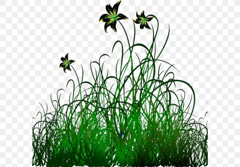 Green Clip Art, PNG, 600x570px, Green, Color, Flora, Flower, Grass Download Free