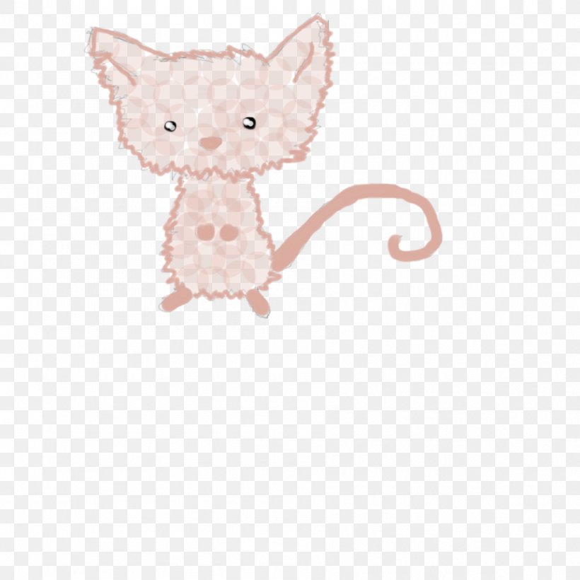 Kitten Whiskers Mouse Rat Dog, PNG, 894x894px, Kitten, Canidae, Carnivoran, Cat, Cat Like Mammal Download Free
