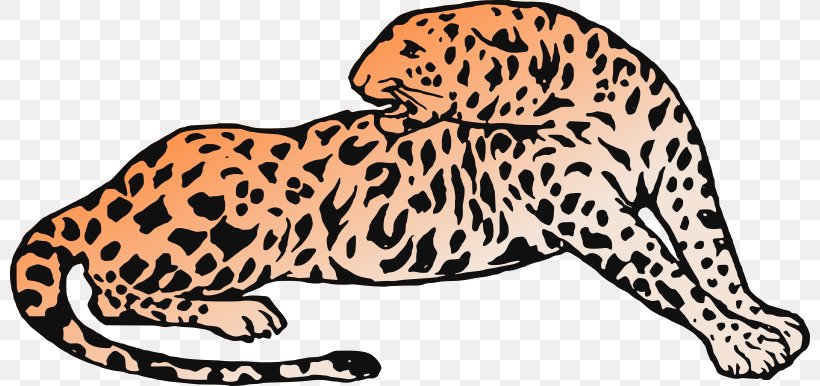 Leopard Cheetah Jaguar Tiger Whiskers, PNG, 800x386px, Leopard, Animal, Animal Figure, Animal Print, Big Cats Download Free
