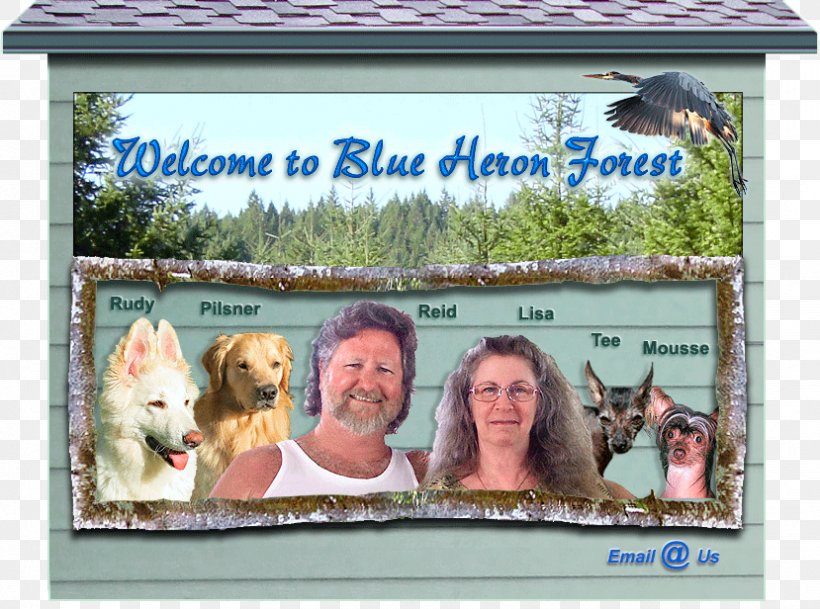 Surname Family Picture Frames Mammal, PNG, 829x616px, Surname, Advertising, Animal, Banner, Com Download Free