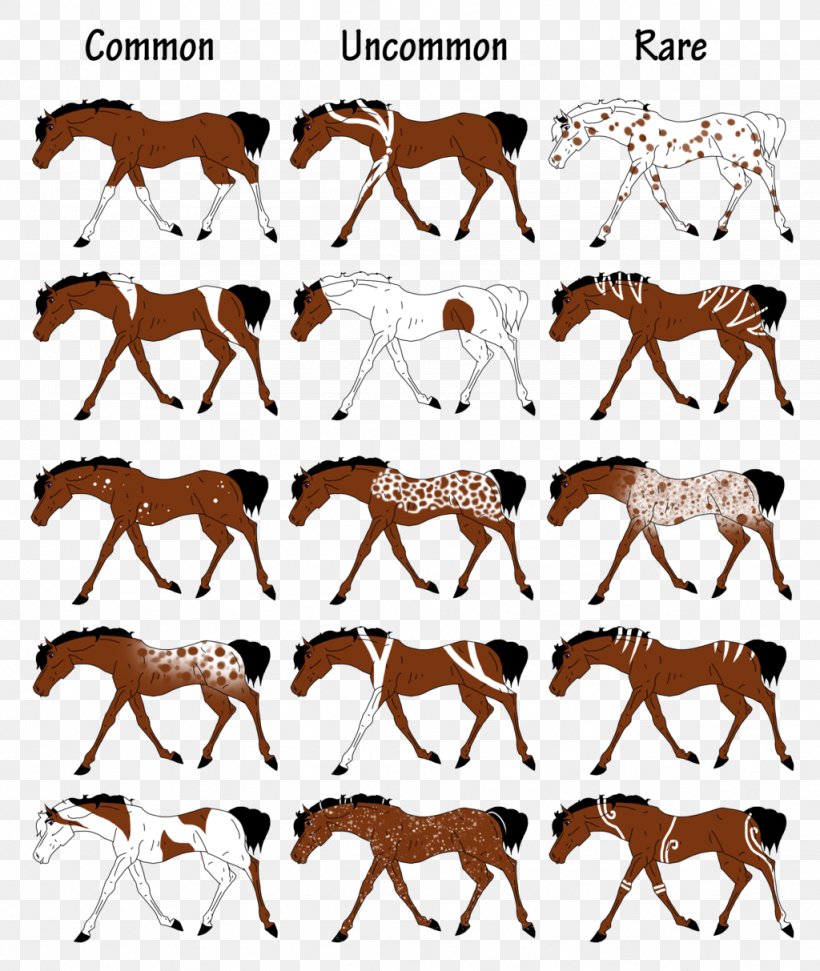 paint horse color patterns - westernArtDrawings