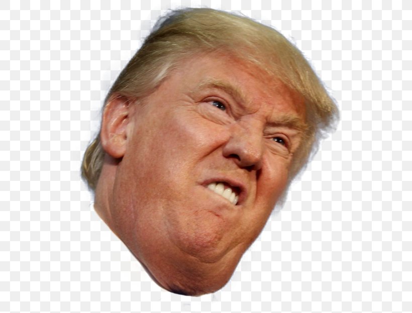 Donald Trump United States T-shirt Republican Party You've Been Trumped, PNG, 540x623px, Donald Trump, Barack Obama, Cheek, Chin, Close Up Download Free