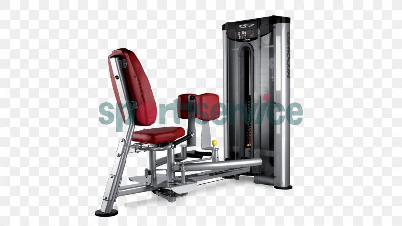 Fitness Centre Sport Physical Fitness Exercise Machine, PNG, 1920x1080px, Fitness Centre, Bench, Bodybuilding, Business, Commerce Download Free